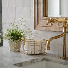 a white sink sitting under a mirror next to a gold faucet and potted plant