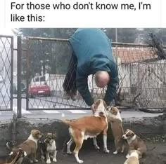 a man bending over to pet several dogs in front of a fence with the caption me when i see dogs