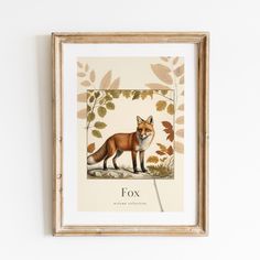 a framed print of a fox on a white wall