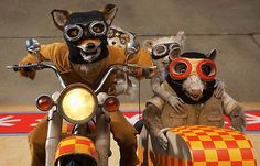 three animals wearing goggles and sitting on a motorcycle