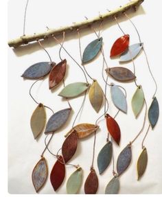 a group of different colored leaves hanging from a branch