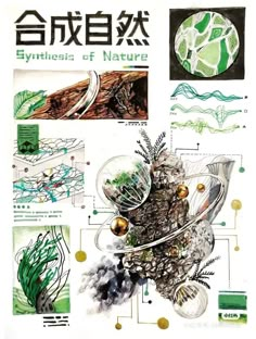 an advertisement with various types of plants and rocks