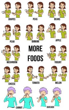 the different types of foods that people use in their body to learn how to eat them