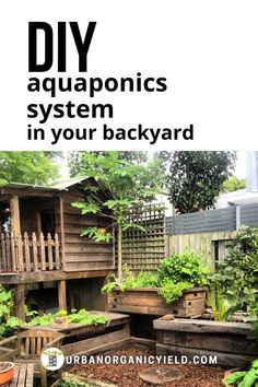 an outdoor garden with wooden boxes and plants in the back ground, text overlay reads diy aquaponics system in your backyard