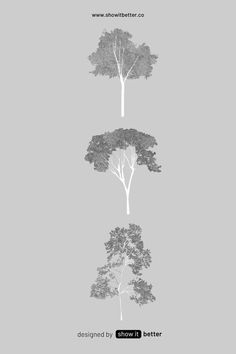 four different trees are shown in the same image