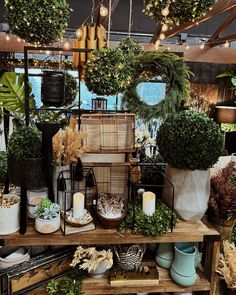 a room filled with lots of potted plants and other items on top of a wooden shelf