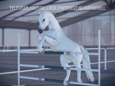 Telegram channel,youtube,likee,pinterest:@LisaFoxholl Game Aesthetic, Roblox Game, Telegram Channel, Horse Riding, Aesthetic Photo, Equestrian