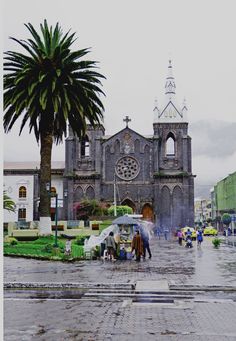 people with umbrellas are walking in the rain near an old church and palm tree