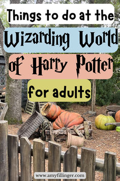 things to do in the Wizarding World for adults Harry Potter Things, Orlando Florida Vacation, Hogsmeade Village, Harry Potter Food, Harry Potter Cosplay