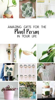 some plants and other things that are in a collage with the words amazing gifts for the plant person in your life