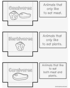 animals that eat plants and other things to eat in their own food box, with the words