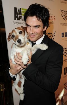 a man in a tuxedo holding a small white and brown dog on his lap