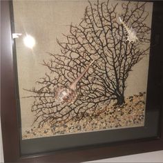 an image of a seaweed in a frame on the wall with rocks and gravel