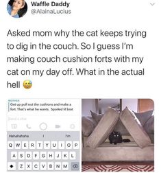 a tweet with an image of a cat in a tent on the floor