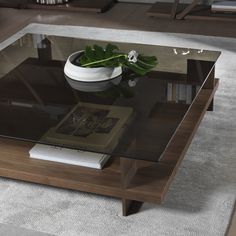 a glass table with a book on it and a potted plant in the middle