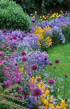 a garden filled with lots of flowers next to a lush green field covered in purple and yellow flowers