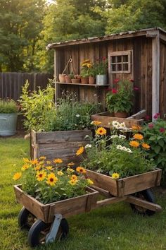 an old wooden garden cart with flowers in it and a shed on the other side