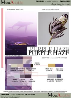 Purple Palette, Fw 2024, 2025 Trends