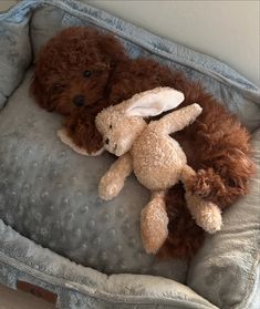 a stuffed animal laying on top of a gray couch next to a white teddy bear