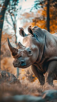 a rhinoceros standing on top of a pile of dirt next to trees and rocks