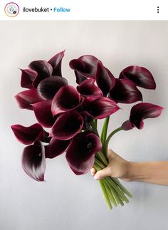 a person holding a bunch of flowers in their hand with the stems still attached to it