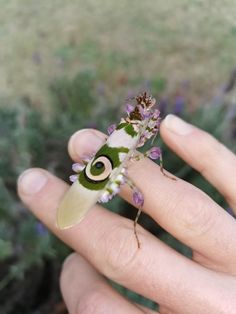 a person holding a tiny green and white insect in their left hand with purple flowers on it