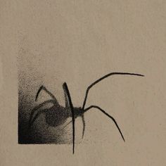 a drawing of a spider in black and white on a beige background with the shadow of it's head