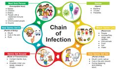 the diagram shows different types of chame d'infection