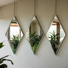 three mirrors hanging on the wall with plants in them