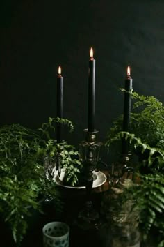 a table topped with lots of plants and candles