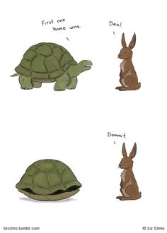 an image of some animals that are in the same place with one tortoise