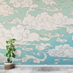 a potted plant sitting on top of a cement floor next to a wall with clouds painted on it