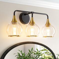 a bathroom vanity light with three lights on it and a potted plant in the corner