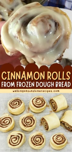 cinnamon rolls from frozen dough bread on a baking sheet with text overlay that reads cinnamon rolls from frozen dough bread