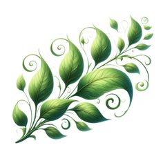 green leaves with swirls on white background