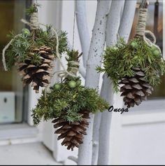 three pine cones hanging from the side of a white building with green plants and berries on them