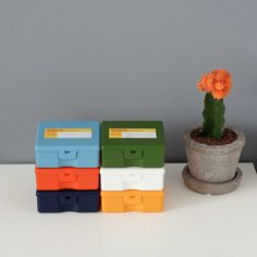 four different colored boxes sitting on top of a white table next to a potted plant