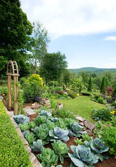 a garden filled with lots of green plants next to a lush green hillside covered in trees