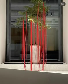 a potted plant with red streamers hanging from it's sides in front of a window