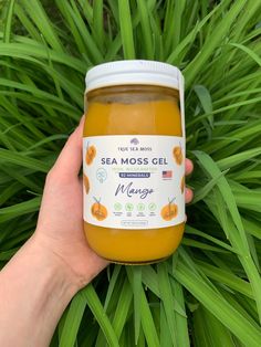 a hand holding a jar of sea moss gel in front of some green grass and plants