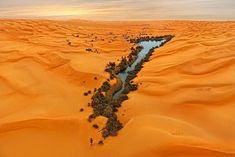 an aerial view of a river in the middle of sand dunes with trees growing out of it