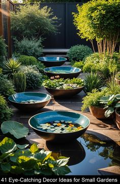 a garden with water lilies and plants in bowls on top of the ground, surrounded by greenery