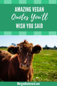 Vegan Quotes Funny, Planets Quote, Dessert Quotes, Famous Vegans, Vegan Facts, How To Become Vegan, Vegan Quotes, Why Vegan, Vegan Humor