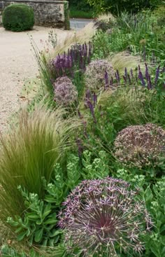 an assortment of plants and flowers in a garden with gravel path leading up to building