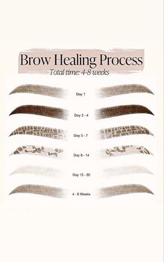 Microblading Eyebrows Training, Microblading Healing Process, Brow Quotes, Permanent Makeup Studio, Permanente Make-up, Membentuk Alis