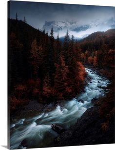 a river running through a forest filled with trees under a cloudy sky at night in the mountains