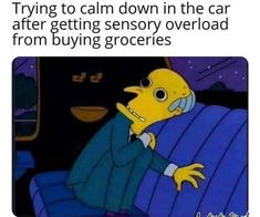 a cartoon character sitting in a car with the caption saying trying to calm down in the car after getting snowy overload from buying groceries