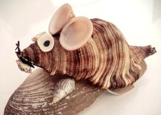 a close up of a shell with a mouse on it's back and eyes