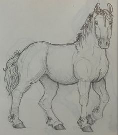 a pencil drawing of a horse standing on one leg with its head turned to the side