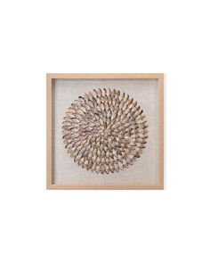 a framed art piece with shells in it